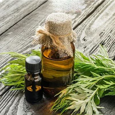 wormwood-oil.jpg