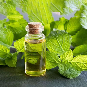 Patchouli Oil