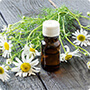 best-eucalyptus-100-pure-essential-oil-Chinaplantoil-fengzuoil
